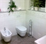 Adaptacija kopalnic 2